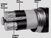 點擊查看詳細信息...