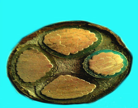 �c���鿴Ԕ����Ϣ...