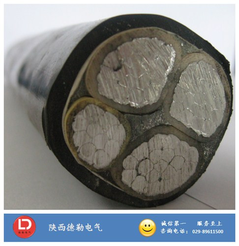 ���늾���|�S֮ ZR-YJLV ��ȼ�����|