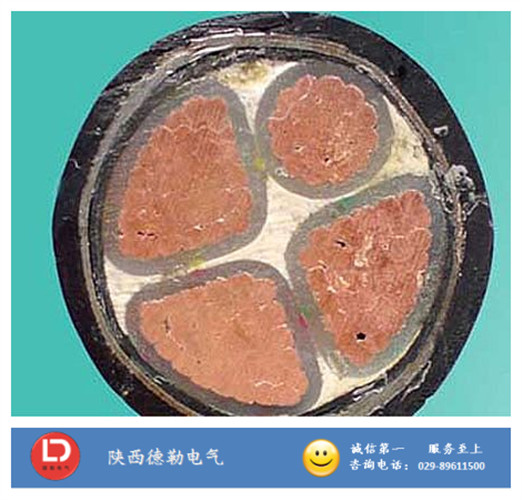 YJV늾���|�������|�S