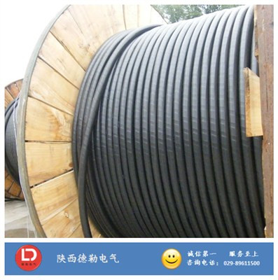 WDZ-YJY �o�u�͟������|_���늾���|_�������늚�