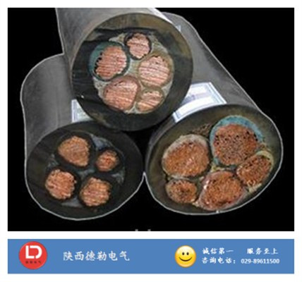 YCW������||�����|�S��������|�S