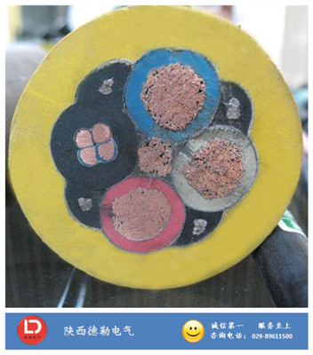 MYP������|�������|�S��������|�S