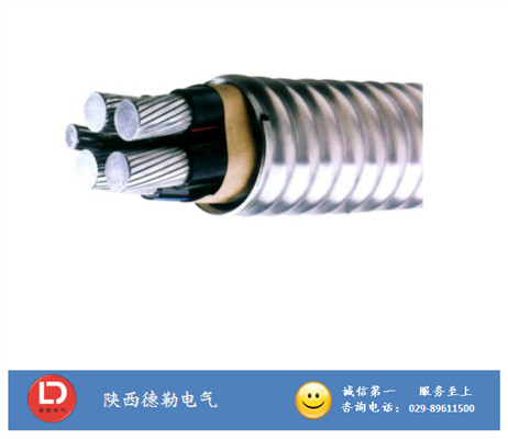 YJLHVS2��ACWU90) �o���X�Ͻ������|�����늾���|�S������늾���|�S