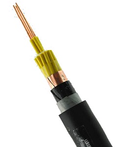 KYJV KVVϵ�п�����|